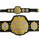 Iwgp Heavyweight Championship Title Belt Gold Plated Metal Plate Adult Brand New