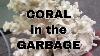 Coral In The Garbage Found Fouille De Poubelles En Métal Plaqué Or Déchirage Circuit Boards Aquariums