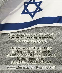 Or Plaqué Extra Large Ark Du Pacte Témoignage Juif Israel Judaica Cadeau